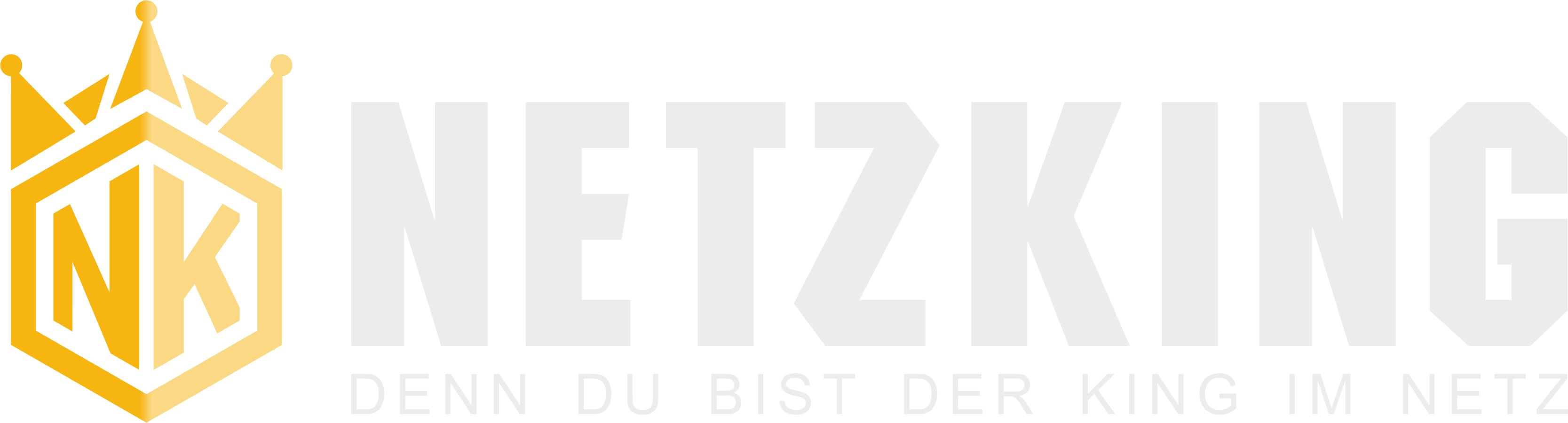 NETZKING